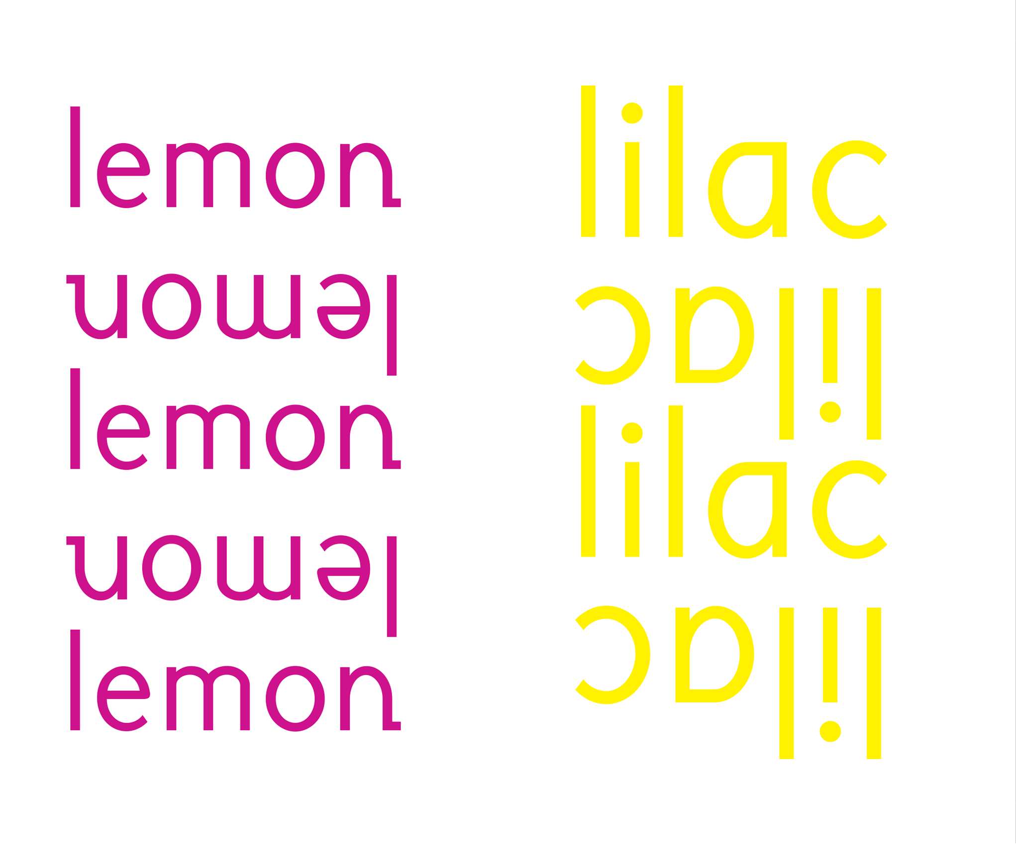 The word ‘lemon’ in bright pink on the left, then the word ‘lilac’ on the right in yellow