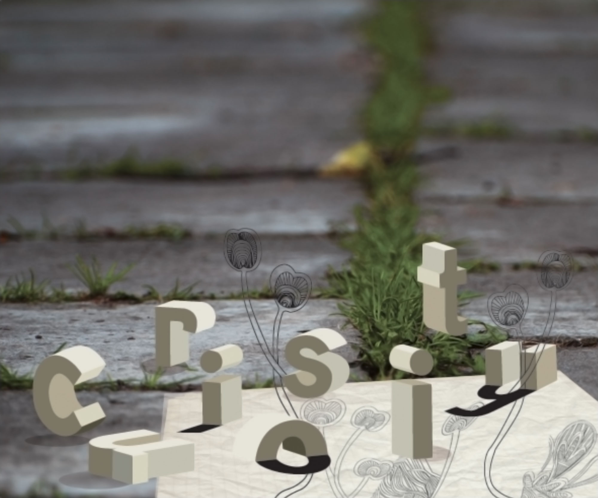 The word ‘curiosity’ in large white 3D letters on a grey pavement, with grassing coming out of the cracks